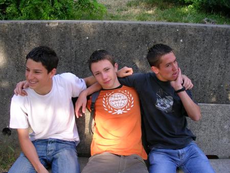 mes gays